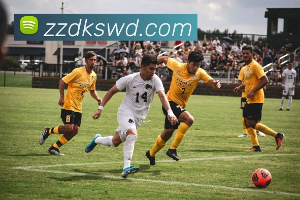 问鼎娱乐全站App